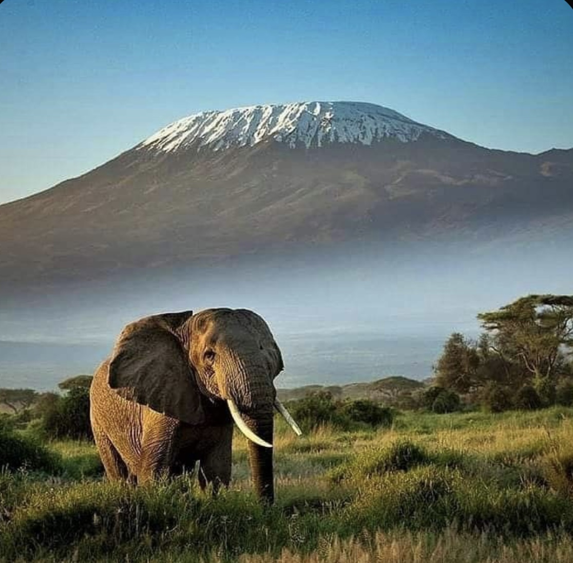 Amboseli