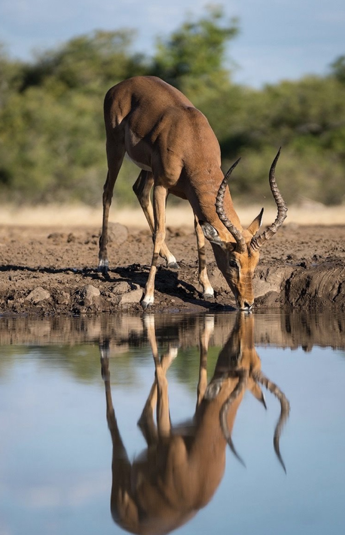 Tsavo East