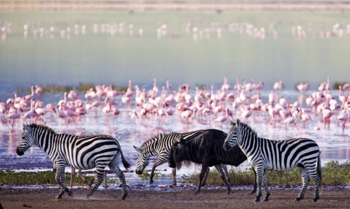 Amboseli